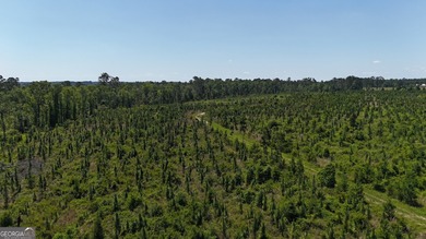 (private lake, pond, coastal) Acreage For Sale in Vidalia Georgia