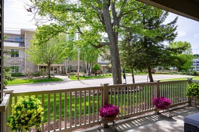 Experience resort-style living in this beautifully remodeled and - photo 27