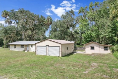 Withlacoochee River Home For Sale in Inglis Florida