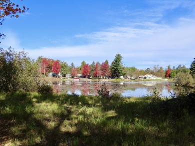 Crooked Lake - Montmorency County Lot Active Under Contract in Atlanta Michigan