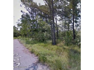 Wooded Waterfront Lot - Prime Location in Bay St. Louis, MS - photo 1