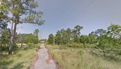 Wooded Waterfront Lot - Prime Location in Bay St. Louis, MS - photo 2