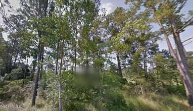 Wooded Waterfront Lot - Prime Location in Bay St. Louis, MS - photo 3