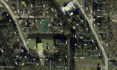 Wooded Waterfront Lot - Prime Location in Bay St. Louis, MS - photo 4