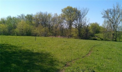 (private lake, pond, coastal) Acreage For Sale in Creighton Missouri