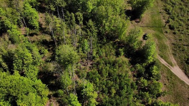 This is a rare opportunity to own a large parcel of undeveloped - photo 11