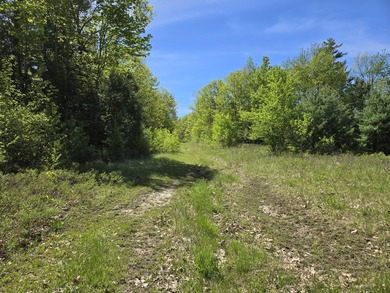 This is a rare opportunity to own a large parcel of undeveloped - photo 12