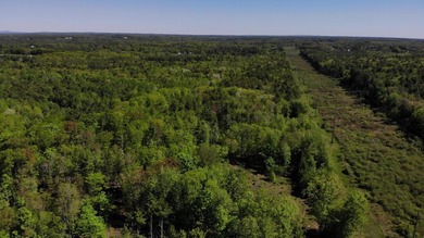 This is a rare opportunity to own a large parcel of undeveloped - photo 13