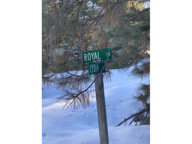Build Your Mountain Getaway Near Tamarack Resort! This beautiful - photo 14