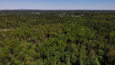 This is a rare opportunity to own a large parcel of undeveloped - photo 14
