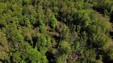 This is a rare opportunity to own a large parcel of undeveloped - photo 15