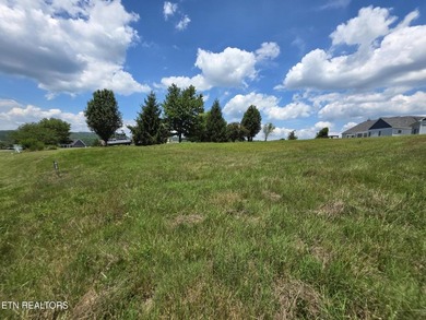 Lake community and lake access lot at a reasonable price. A - photo 17