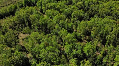 This is a rare opportunity to own a large parcel of undeveloped - photo 17
