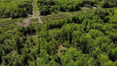 This is a rare opportunity to own a large parcel of undeveloped - photo 18