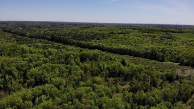 This is a rare opportunity to own a large parcel of undeveloped - photo 20