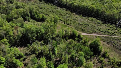 This is a rare opportunity to own a large parcel of undeveloped - photo 21