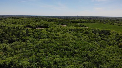This is a rare opportunity to own a large parcel of undeveloped - photo 22