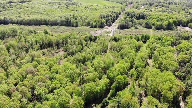 This is a rare opportunity to own a large parcel of undeveloped - photo 23