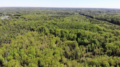 This is a rare opportunity to own a large parcel of undeveloped - photo 24
