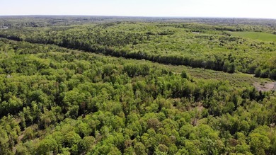 This is a rare opportunity to own a large parcel of undeveloped - photo 25