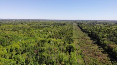 This is a rare opportunity to own a large parcel of undeveloped - photo 26