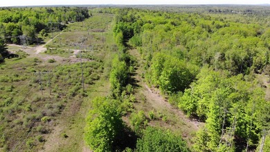 This is a rare opportunity to own a large parcel of undeveloped - photo 27