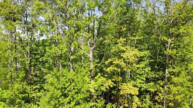 This is a rare opportunity to own a large parcel of undeveloped - photo 28