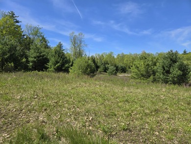 This is a rare opportunity to own a large parcel of undeveloped - photo 29