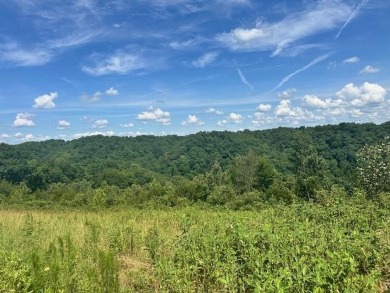 Lake Lot For Sale in Baxter, Tennessee