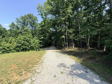 Brand-new rustic cabin retreat on one acre, minutes from the - photo 4