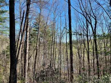 Lake James Lot Sale Pending in Nebo North Carolina