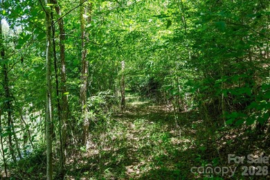 This 651 +- acre tract in the foothills of Rutherford County - photo 13