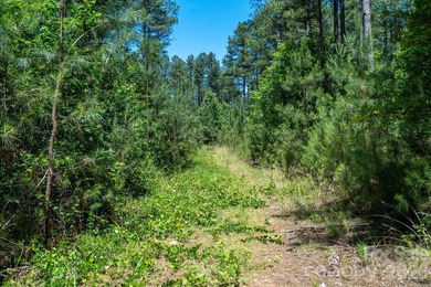 This 651 +- acre tract in the foothills of Rutherford County - photo 14