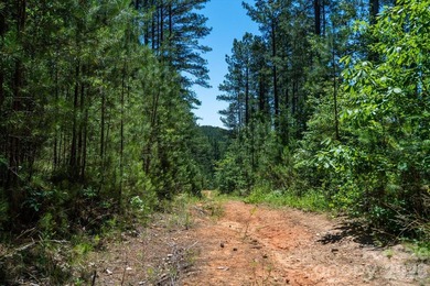 This 651 +- acre tract in the foothills of Rutherford County - photo 15