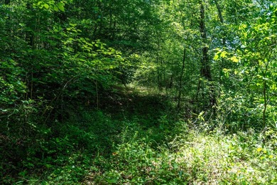 This 651 +- acre tract in the foothills of Rutherford County - photo 16