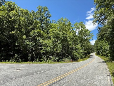 This 651 +- acre tract in the foothills of Rutherford County - photo 17