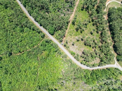 This 651 +- acre tract in the foothills of Rutherford County - photo 18
