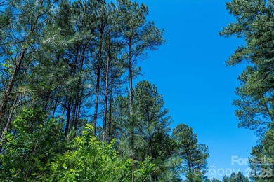 This 651 +- acre tract in the foothills of Rutherford County - photo 19
