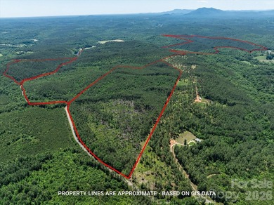 This 651 +- acre tract in the foothills of Rutherford County - photo 20