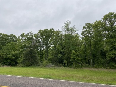 Pat Mayes Lake Lot For Sale in Powderly Texas