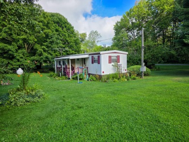 (private lake, pond, creek) Home Sale Pending in East Leroy Michigan