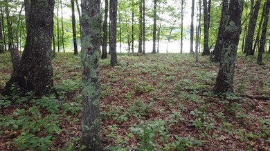 Fantastic LAKEFRONT lot with Dock in Long Branch Lakes! Several - photo 2
