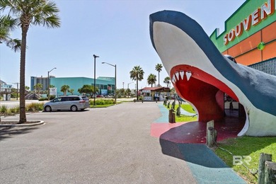Looking for a Beachfront Investment or 1031 Exchange Property? - photo 35