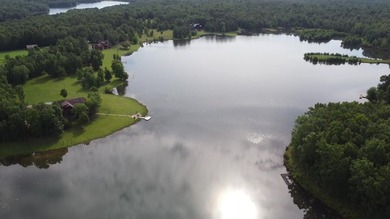 Fantastic LAKEFRONT lot with Dock in Long Branch Lakes! Several - photo 6