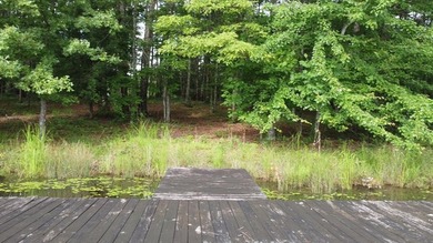 Fantastic LAKEFRONT lot with Dock in Long Branch Lakes! Several - photo 7