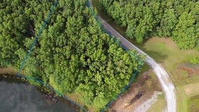 Fantastic LAKEFRONT lot with Dock in Long Branch Lakes! Several - photo 8