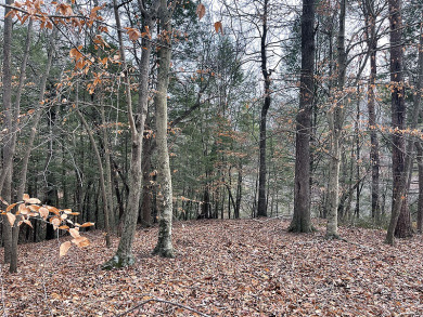 58% Off Nice Wooded Half Acre Lot - Lake Lot For Sale in Russell Springs, Kentucky