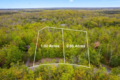 Lake Lot For Sale in Gaylord, Michigan