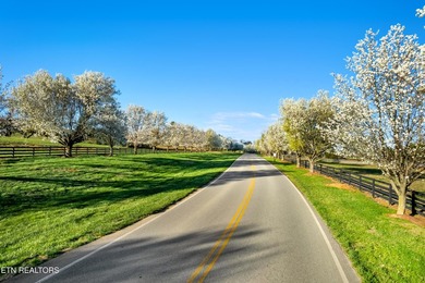 Build your dream home on this beautiful lakeview homesite - photo 8