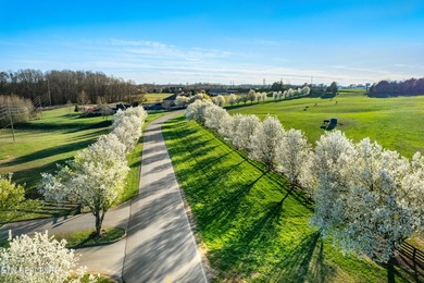 Build your dream home on this beautiful lakeview homesite - photo 9